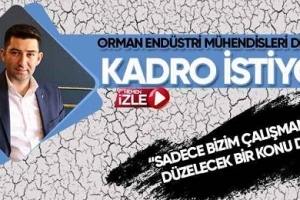 Orman Endüstri Mühendisleri Derneği kadro istiyor