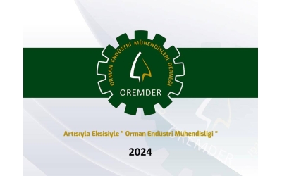 Artısıyla Eksisiyle Orman Endüstri Mühendisliği - 2024 Anketi