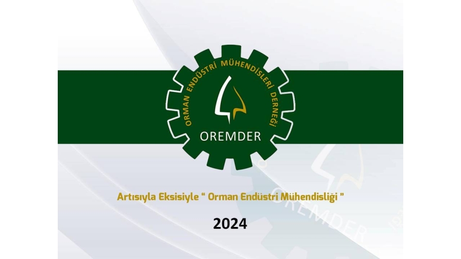 Artısıyla Eksisiyle Orman Endüstri Mühendisliği - 2024 Anketi